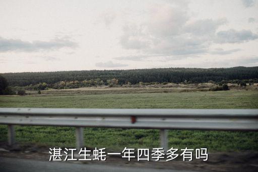 湛江生蠔一年四季多有嗎