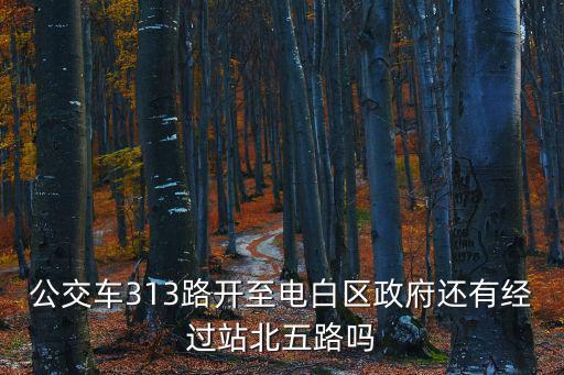 公交車313路開至電白區政府還有經過站北五路嗎