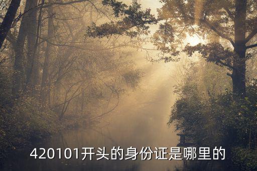 420101開頭的身份證是哪里的