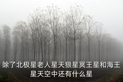 除了北極星老人星天狼星冥王星和海王星天空中還有什么星