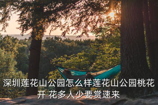 蓮花山圖片，深圳蓮花山在哪里需要多少錢多的門票