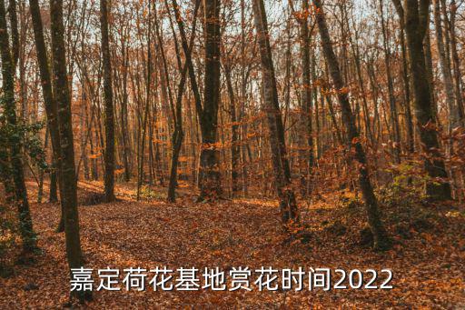 荷花基地，嘉定荷花基地賞花時間2022