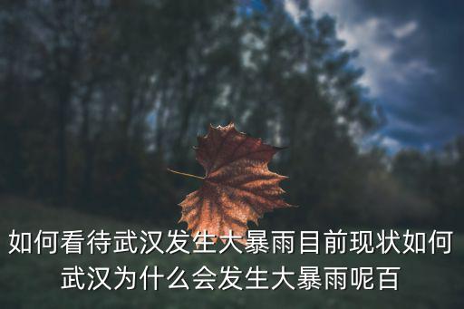 如何看待武漢發(fā)生大暴雨目前現(xiàn)狀如何武漢為什么會發(fā)生大暴雨呢百