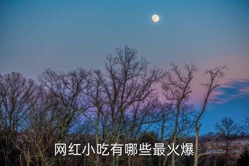 網紅小吃有哪些最火爆