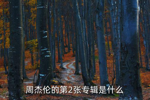 周杰倫的第2張專輯是什么