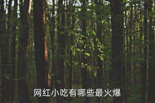 網紅小吃有哪些最火爆