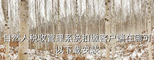 自然人稅收管理系統扣繳客戶端在哪可以下載安裝