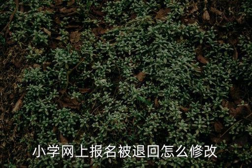 小學網上報名被退回怎么修改