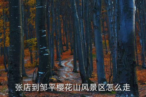 張店到鄒平櫻花山風(fēng)景區(qū)怎么走