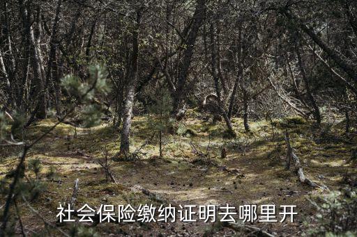 社會(huì)保險(xiǎn)繳納證明去哪里開(kāi)