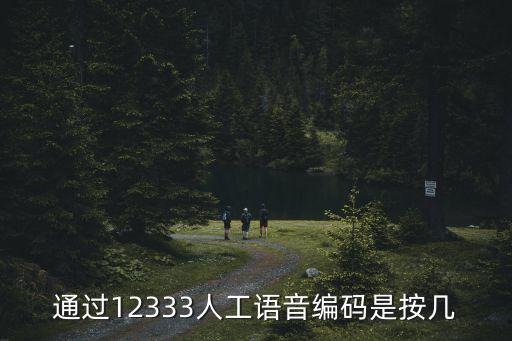 通過12333人工語音編碼是按幾