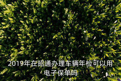2019年在昭通辦理車輛年檢可以用電子保單嗎