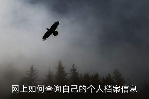 網(wǎng)上如何查詢自己的個(gè)人檔案信息