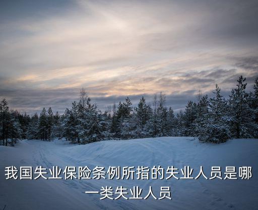 我國失業(yè)保險(xiǎn)條例所指的失業(yè)人員是哪一類失業(yè)人員