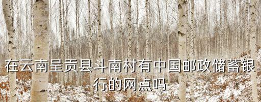 在云南呈貢縣斗南村有中國郵政儲蓄銀行的網點嗎