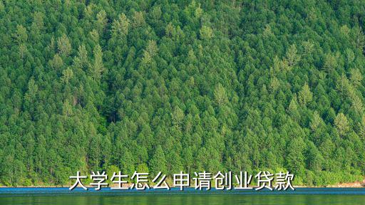 大學生怎么申請創業貸款