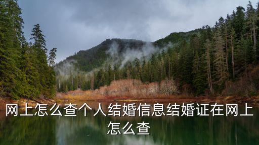 網上怎么查個人結婚信息結婚證在網上怎么查