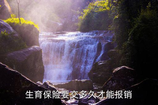生育保險要交多久才能報銷，職工醫保生育險交多久可以報銷