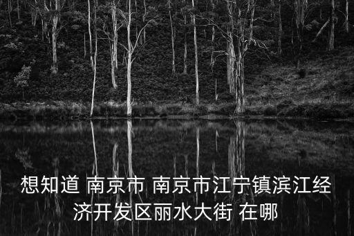 想知道 南京市 南京市江寧鎮濱江經濟開發區麗水大街 在哪