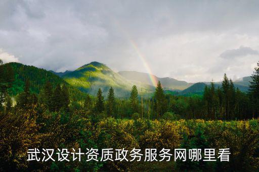 武漢設計資質政務服務網哪里看