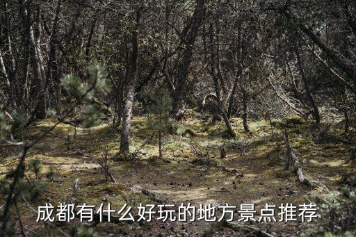 成都有什么好玩的地方景點推薦