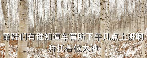 童鞋們有誰知道車管所下午幾點上班啊拜托各位大神