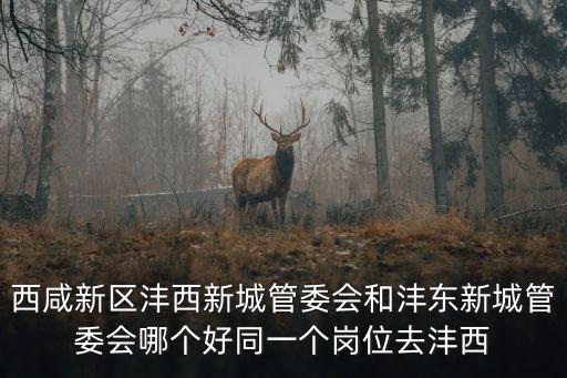 灃東管委會，西咸新區灃西新城管委會和灃東新城管委會哪個好同一個崗位去灃西