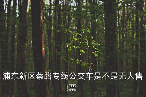 蔡路，浦東新區蔡路專線公交車是不是無人售票