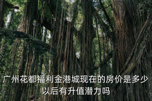 廣州花都福利金港城現(xiàn)在的房價是多少以后有升值潛力嗎