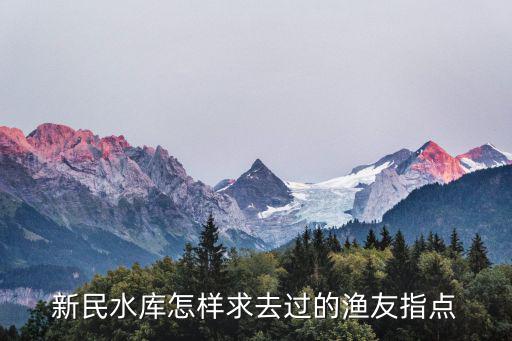 新民水庫怎樣求去過的漁友指點