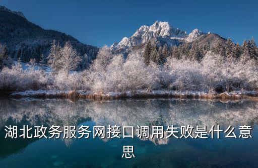 湖北政務服務網接口調用失敗是什么意思