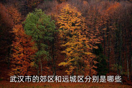 武漢市的郊區和遠城區分別是哪些