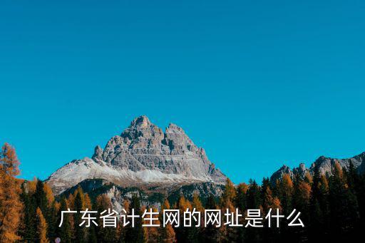 廣東省計(jì)生網(wǎng)的網(wǎng)址是什么