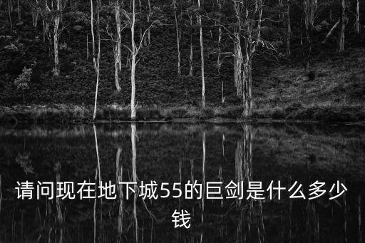 請問現在地下城55的巨劍是什么多少錢
