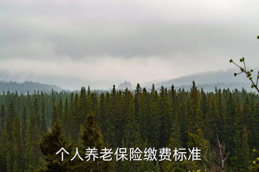 個人養老保險繳費標準
