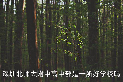 深圳北師大附中高中部是一所好學校嗎