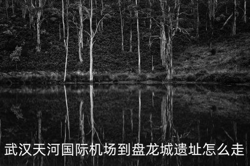 武漢天河國際機場到盤龍城遺址怎么走