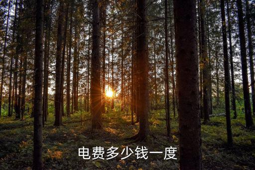 電費(fèi)多少錢一度