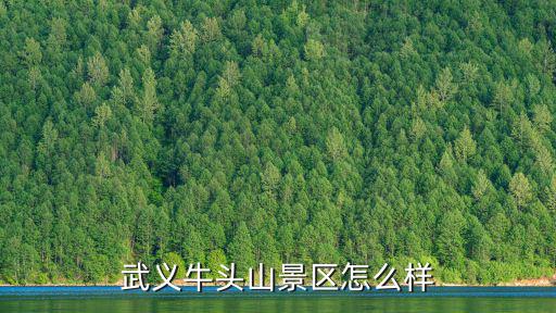 武義牛頭山，武義牛頭山景區(qū)怎么樣