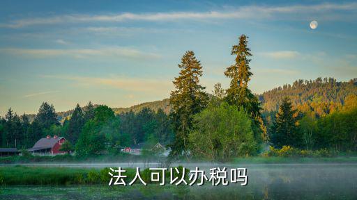 法人可以辦稅嗎