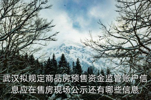 武漢擬規定商品房預售資金監管賬戶信息應在售房現場公示還有哪些信息