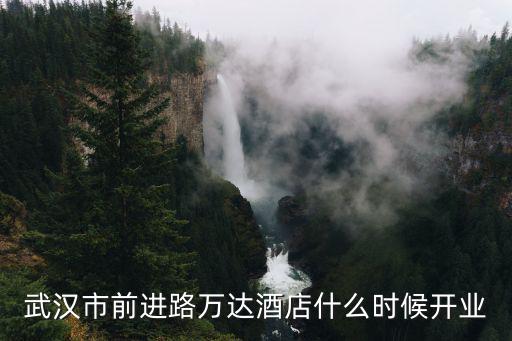 武漢市前進路萬達酒店什么時候開業
