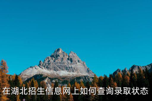 在湖北招生信息網上如何查詢錄取狀態