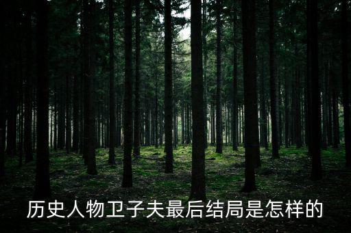 歷史人物衛子夫最后結局是怎樣的