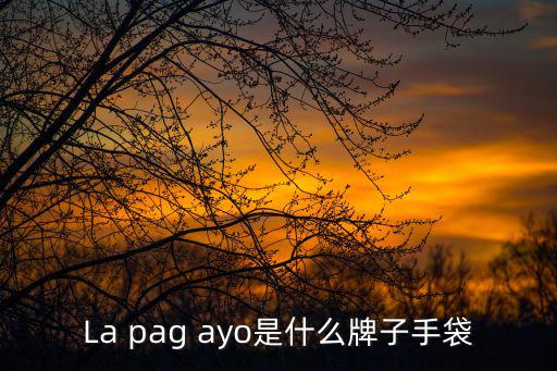 La pag ayo是什么牌子手袋