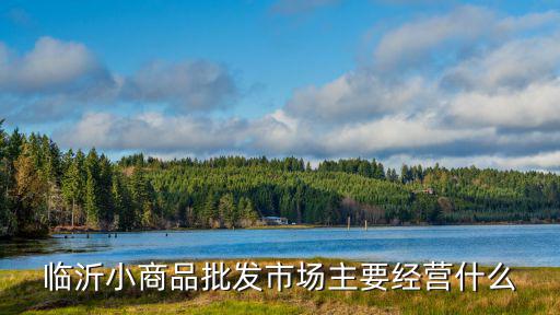 小商品批發(fā)城，臨沂小商品批發(fā)市場(chǎng)主要經(jīng)營(yíng)什么