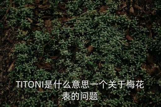 TITONI是什么意思一個(gè)關(guān)于梅花表的問題