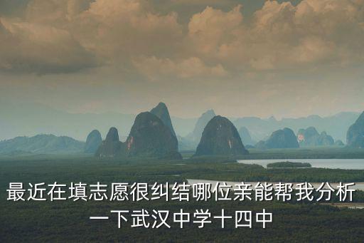 最近在填志愿很糾結哪位親能幫我分析一下武漢中學十四中