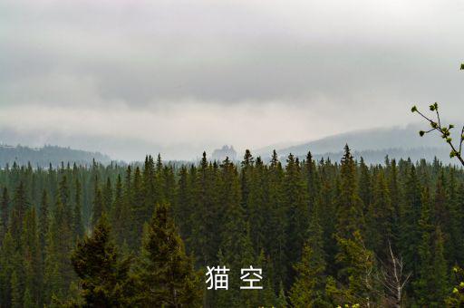  貓 空