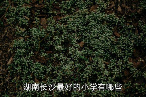 湖南長沙最好的小學有哪些